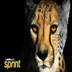 LESMILLS SPRINT 04 VIDEO+MUSIC+NOTES